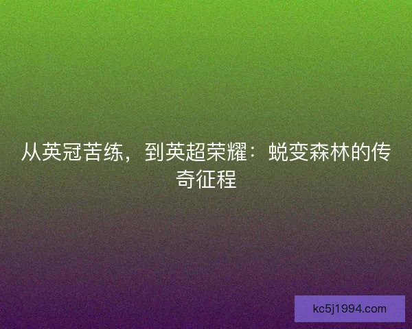 从英冠苦练，到英超荣耀：蜕变森林的传奇征程