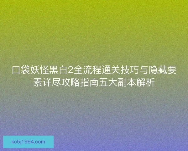 口袋妖怪黑白2全流程通关技巧与隐藏要素详尽攻略指南五大副本解析